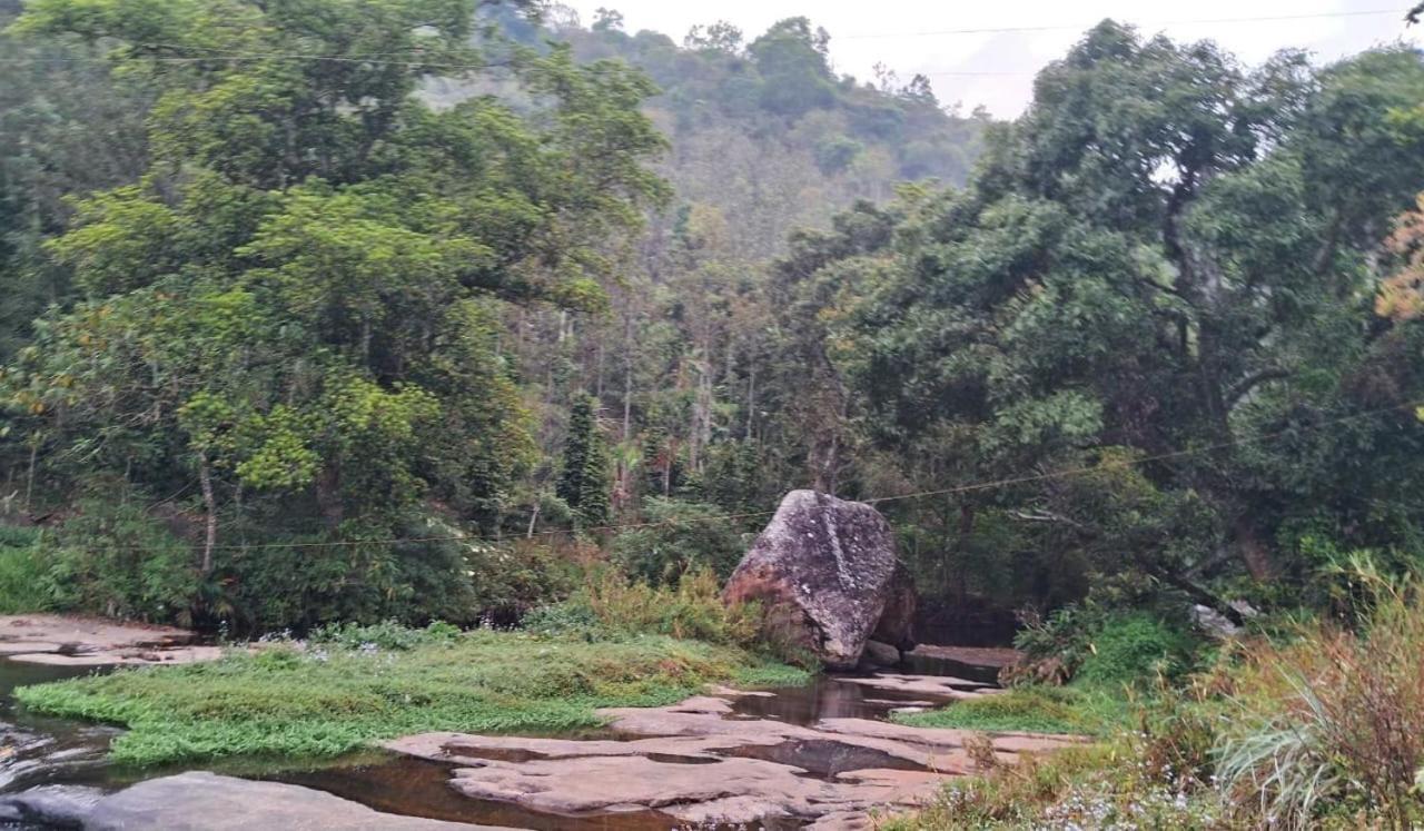 Villa King Of Jungle Retreat Kodaikanal
