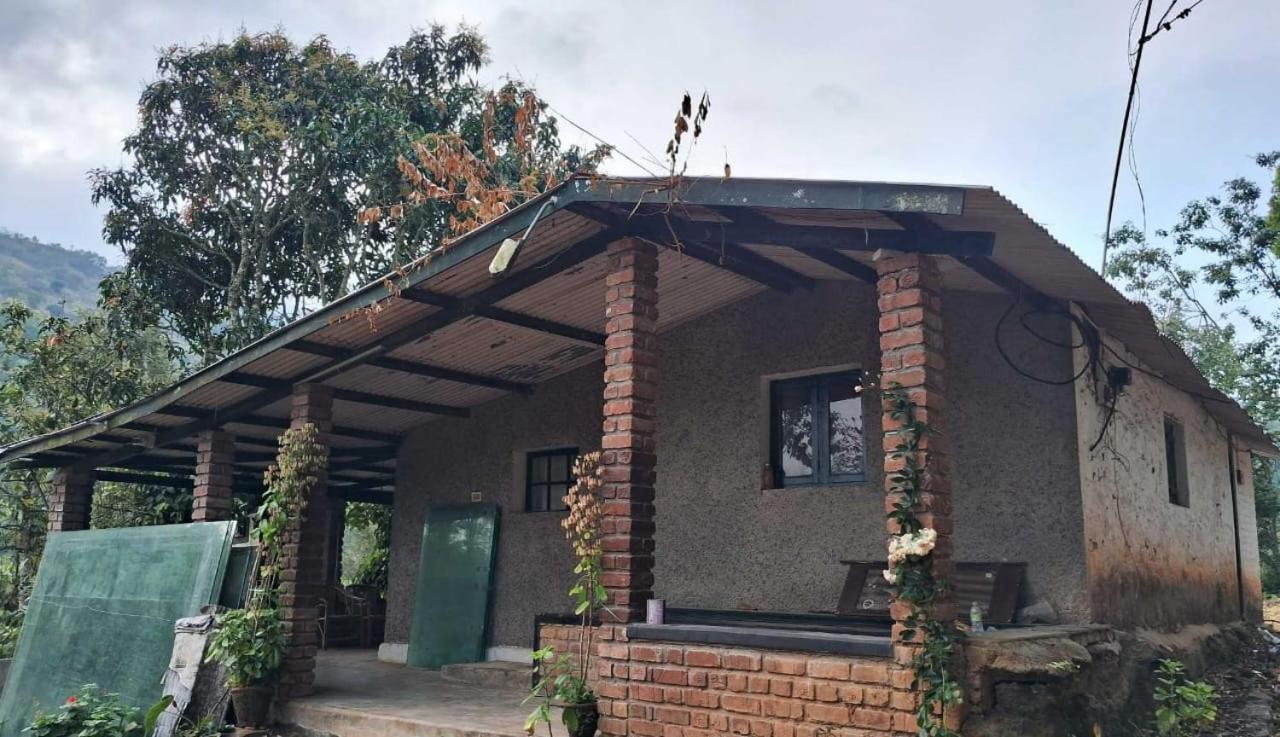 King Of Jungle Retreat Kodaikanal