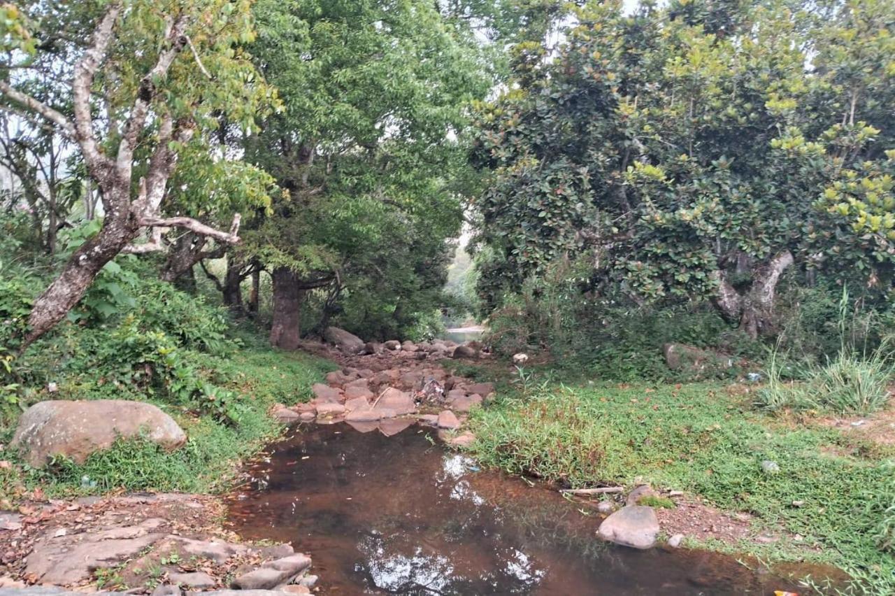 King Of Jungle Retreat Villa Kodaikanal