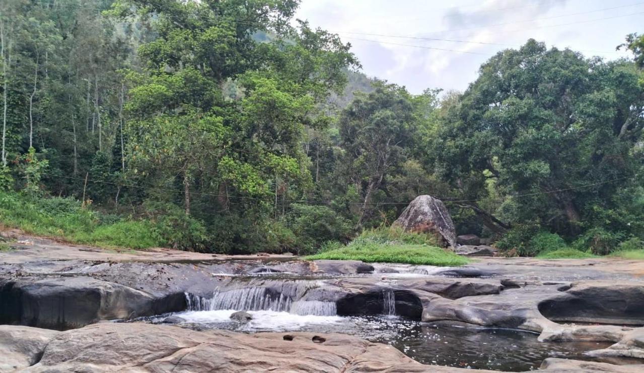 King Of Jungle Retreat *