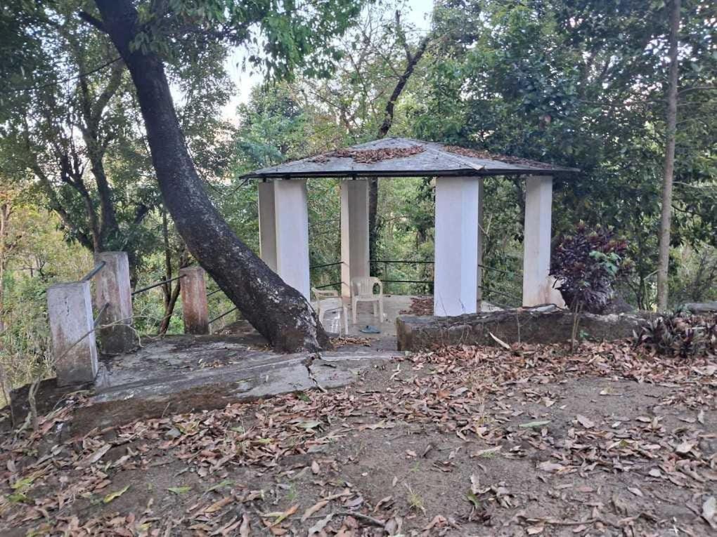 King Of Jungle Retreat * Kodaikanal