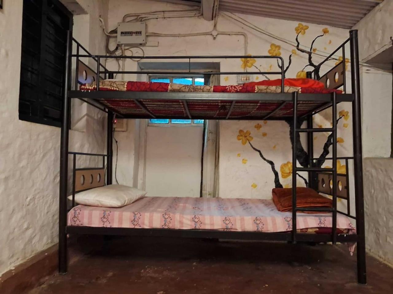 King Of Jungle Retreat