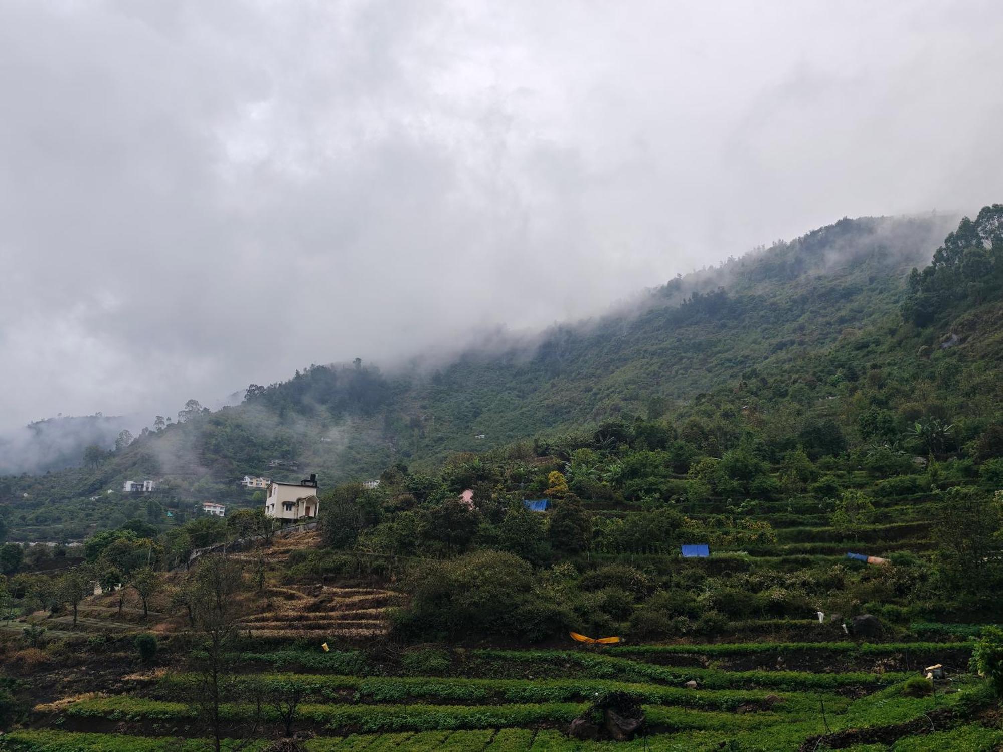 Jazz&hill * Kodaikanal