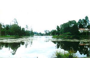 Acres Kodaikanal