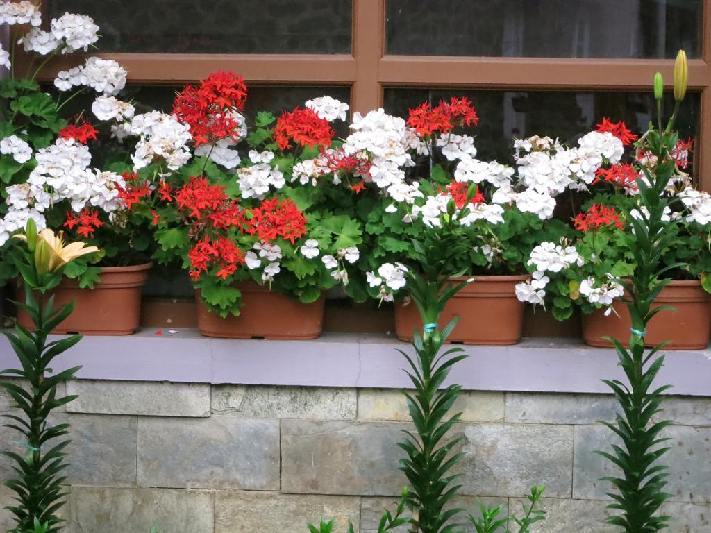 Jc Residency Hotel Kodaikanal