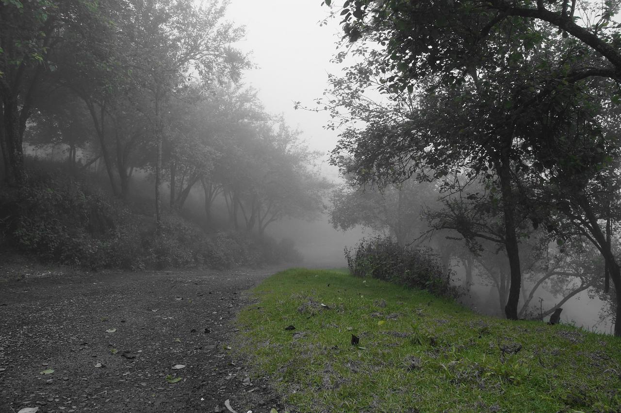 Pearwoods * Kodaikanal