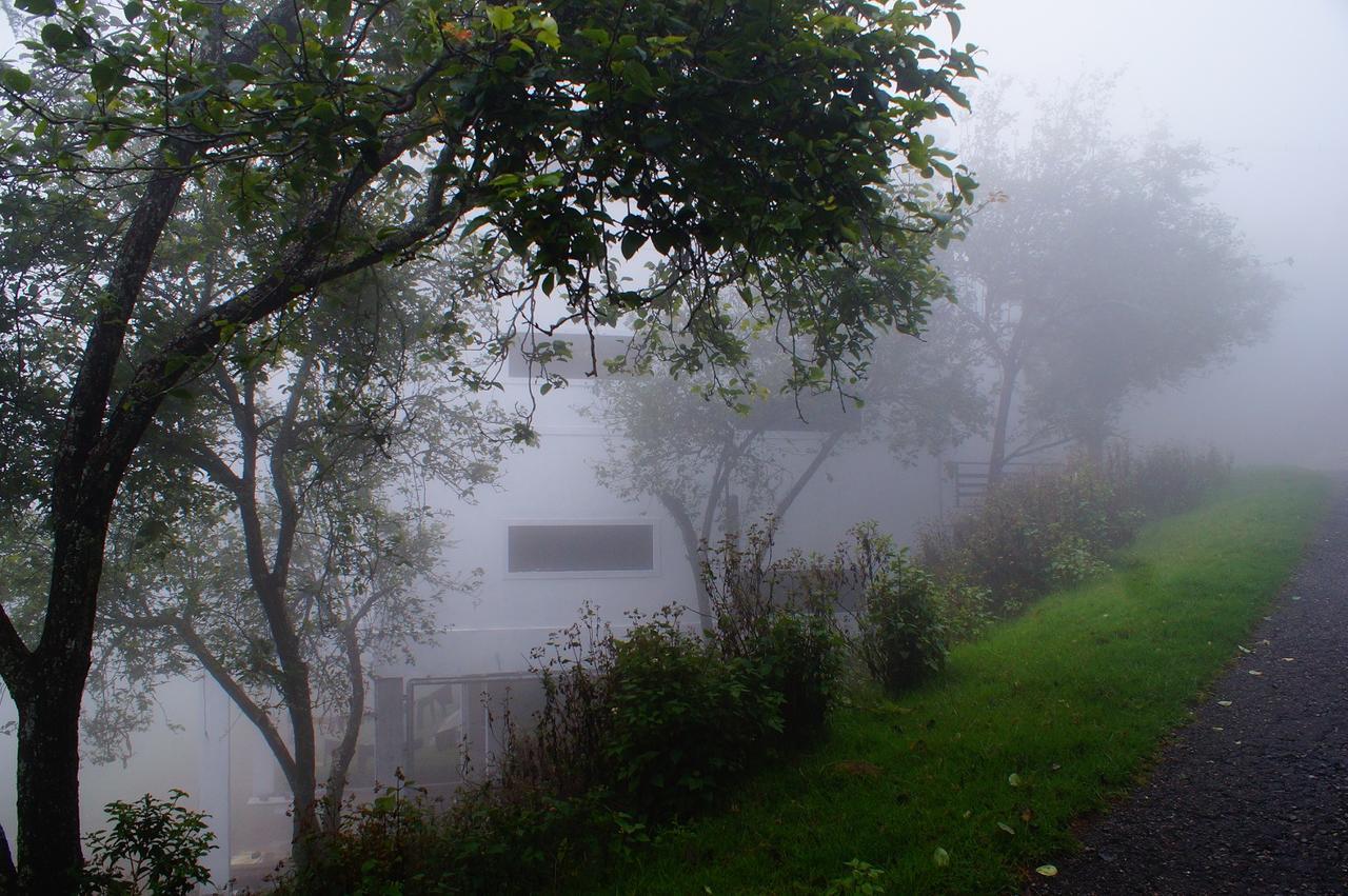 Pearwoods Kodaikanal