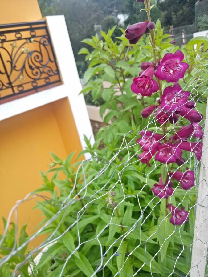 Happy Valley Hotel Kodaikanal