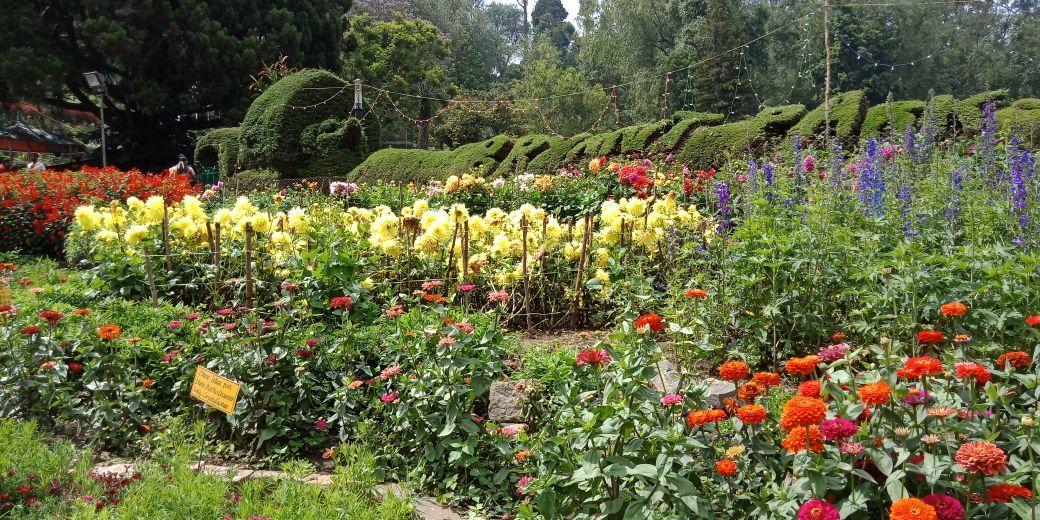 Happy Valley Kodaikanal