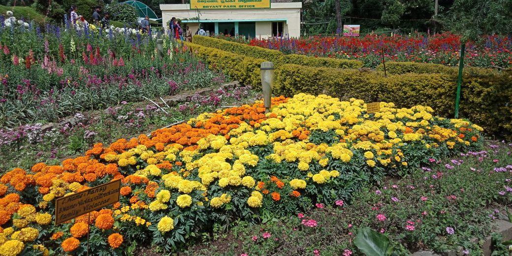 Happy Valley Kodaikanal