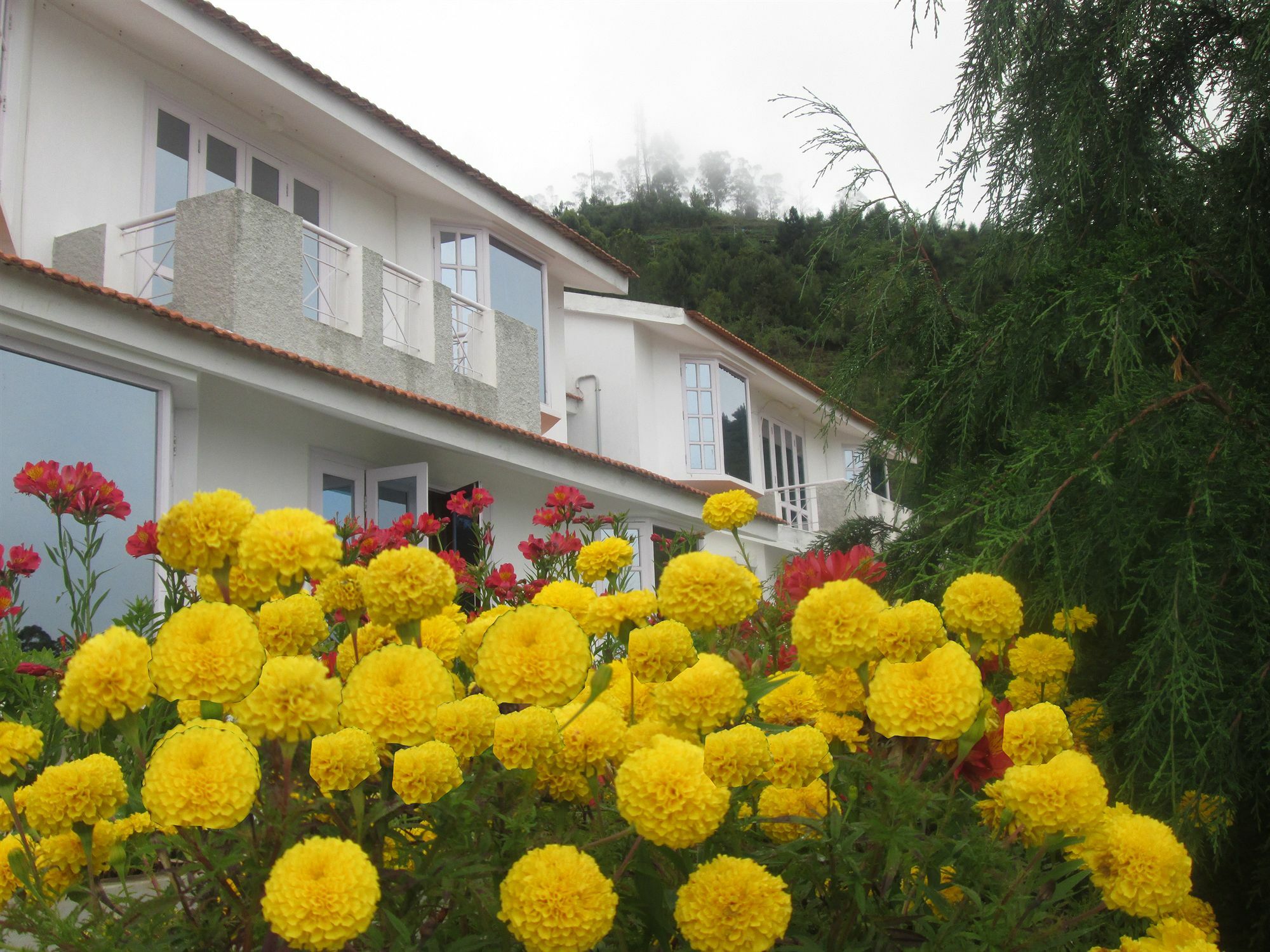 Country Club Valley Vista Resort 4*